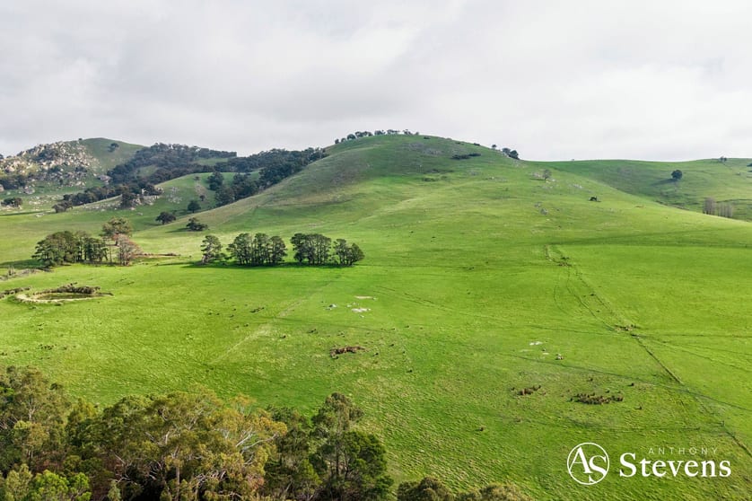 Click to view all images 160 Tooborac-Baynton Road Tooborac VIC 3522 - Image 2