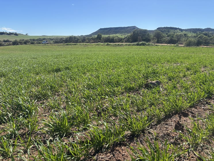 Click to view all images 199 Hatch Road Bowes WA 6535 - Image 1