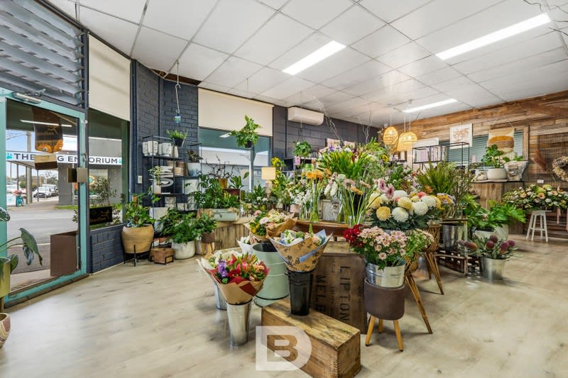 166b Mollison Street Kyneton VIC 3444 - Image 3
