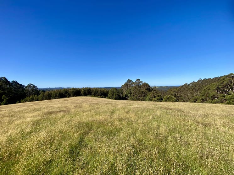 Click to view all images 1431 Preolenna Road Moorleah TAS 7325 - Image 1