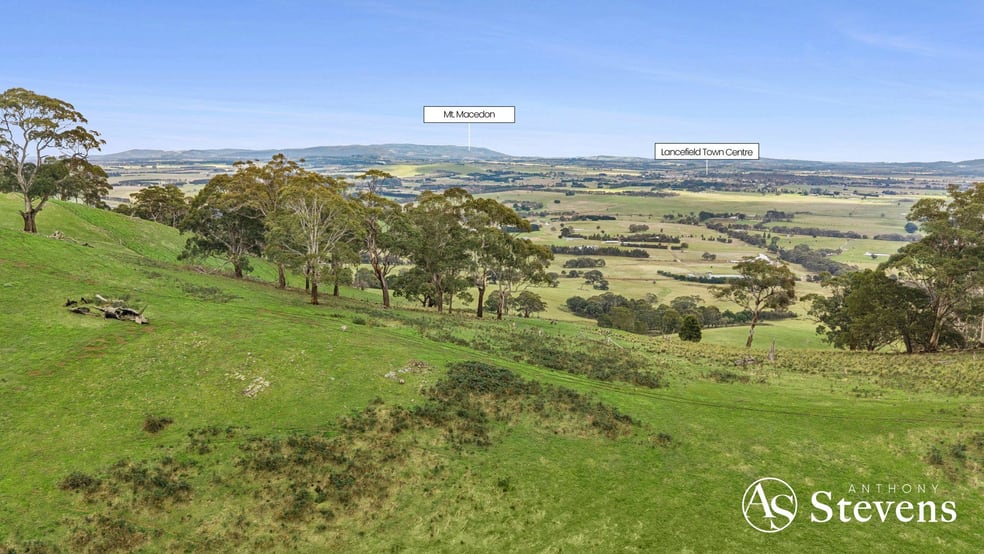 260 & 310 Mt William Road Goldie VIC 3435 - Image 3