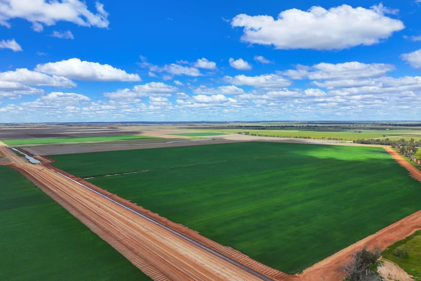 10474 Sturt Highway Narrandera NSW 2700 - Image 3