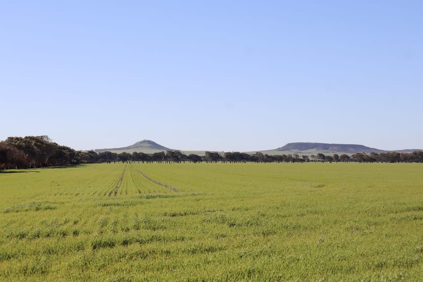 Click to view all images 1742 Arthur Road Moonyoonooka WA 6532 - Image 3