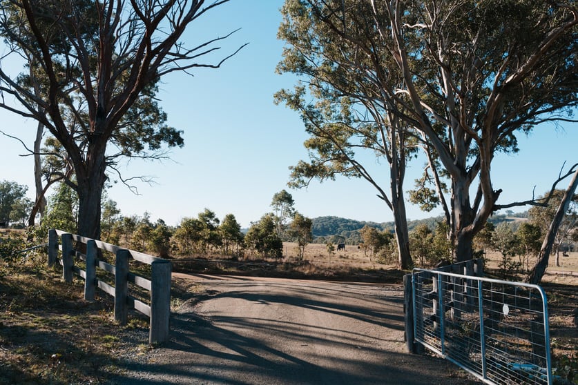 Click to view all images 117 Jeffreys Road Big Hill NSW 2579 - Image 3