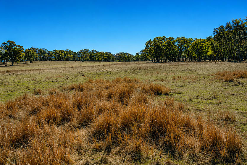 Click to view all images 320 Cemetery Road Torrington NSW 2371 - Image 1