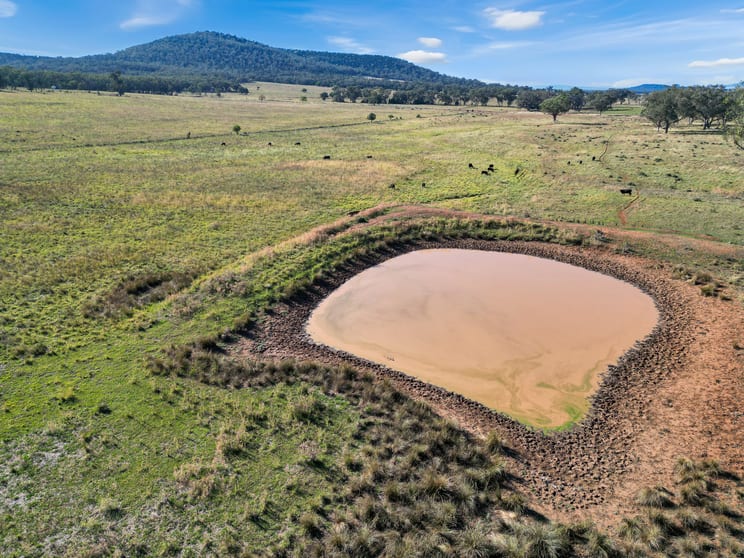 120 Carara Road Curlewis NSW 2381 - Image 3