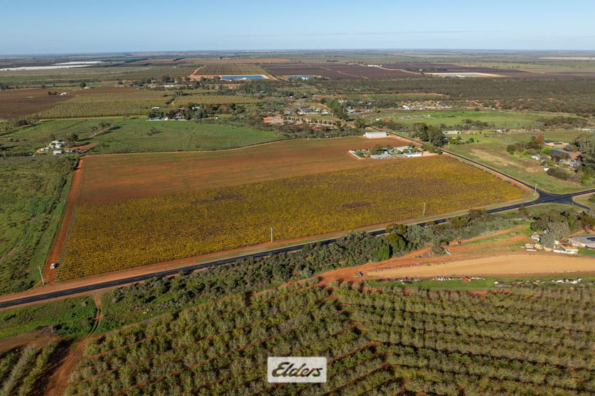 Lot/2 Lowan Avenue Red Cliffs VIC 3496 - Image 3