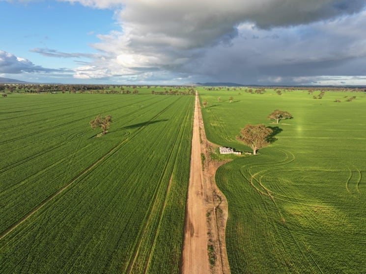 Bongoola Mary Gilmore Way Bimbi NSW 2810 - Image 1