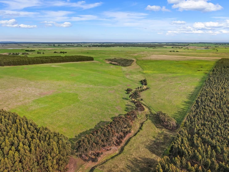 Click to view all images 207 Hardys Road Knebsworth VIC 3286 - Image 3