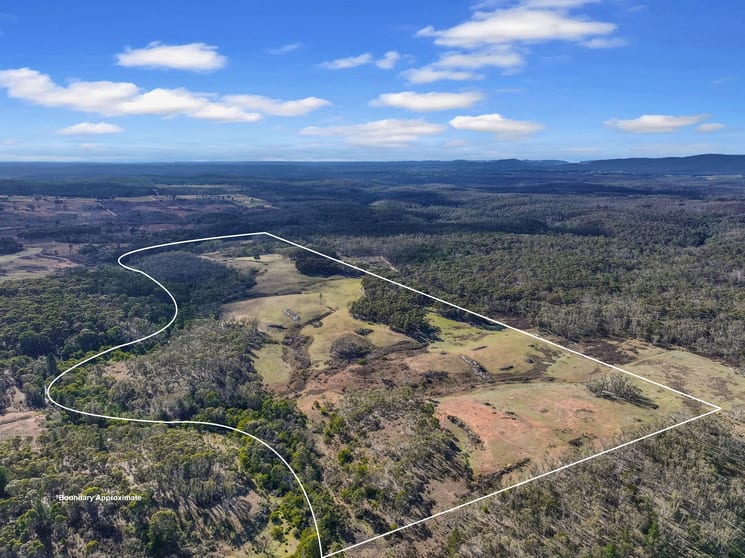 Lot 193 / 443 Back Creek Road Mongarlowe NSW 2622 - Image 3