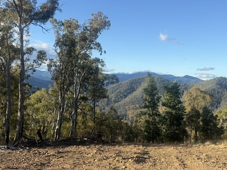 Click to view all images 45/1118 Neringla Road Neringla NSW 2622 - Image 1