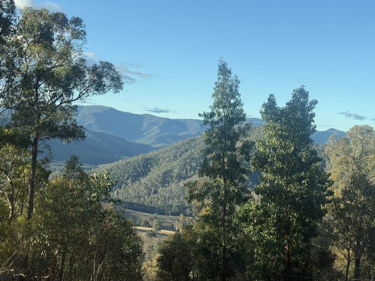 Click to view all images 45/1118 Neringla Road Neringla NSW 2622 - Image 3