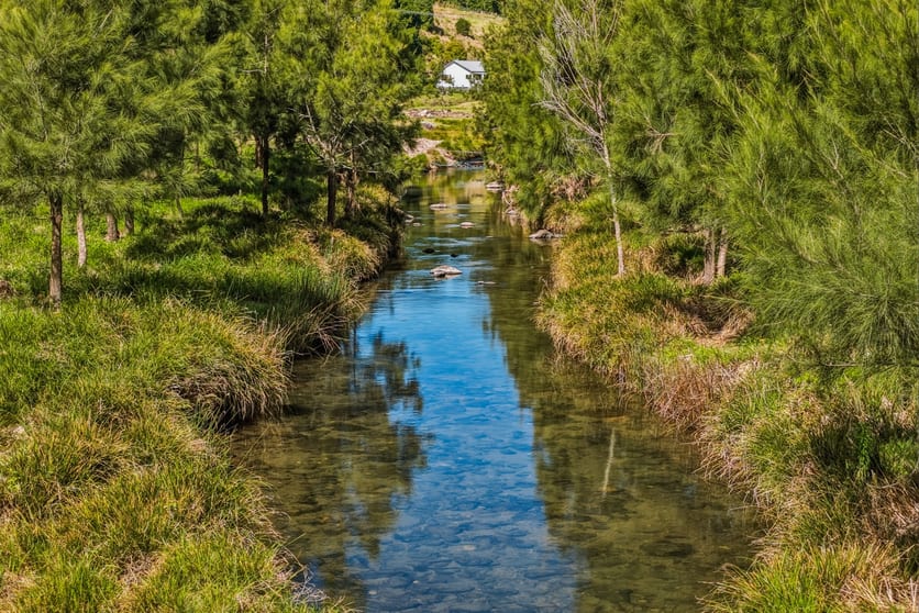 601 Illinbah Road Illinbah QLD 4275 - Image 3