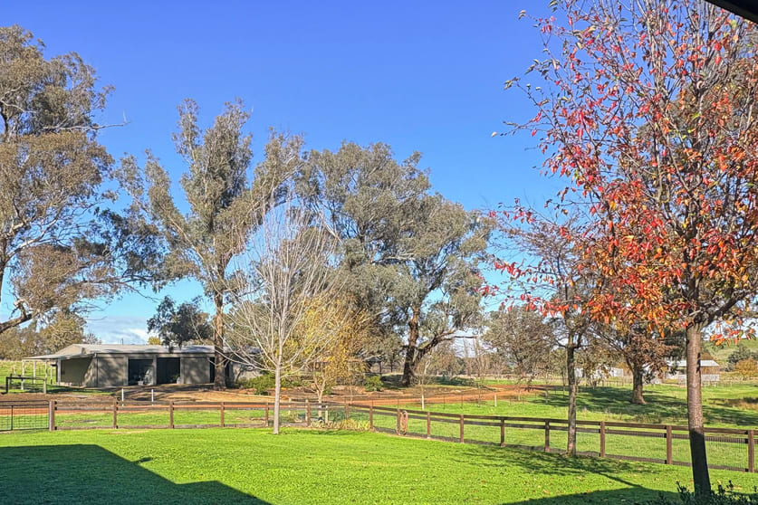 Click to view all images 257 Blue Range Road Bridge Creek VIC 3723 - Image 3