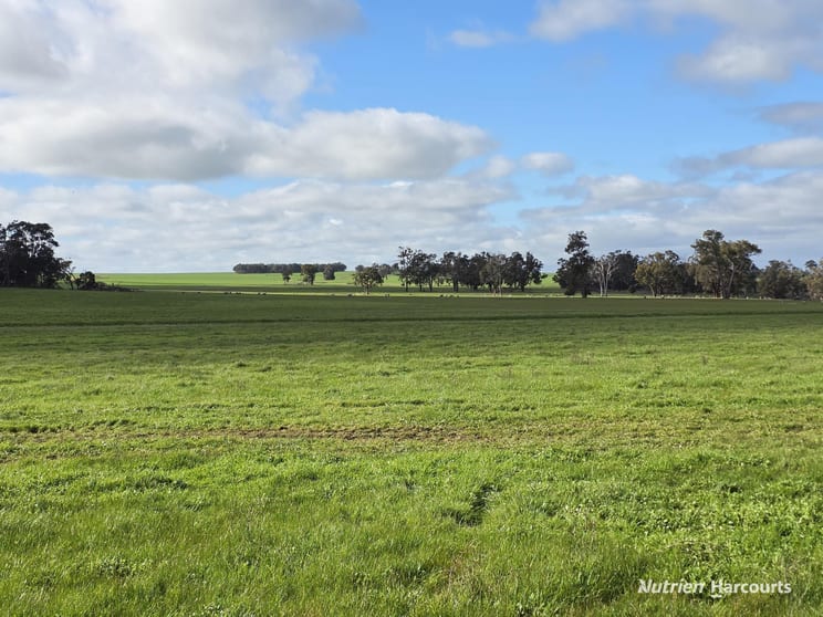Click to view all images 57 Ward Place Frankland River WA 6396 - Image 3