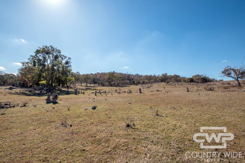 Click to view all images 8 & 9, - Gulf Road Emmaville NSW 2371 - Image 1