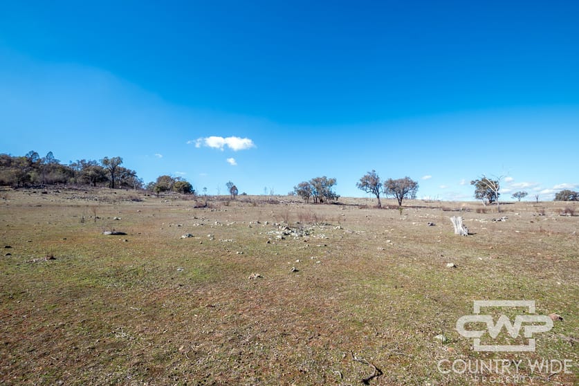 Click to view all images 8 & 9, - Gulf Road Emmaville NSW 2371 - Image 3