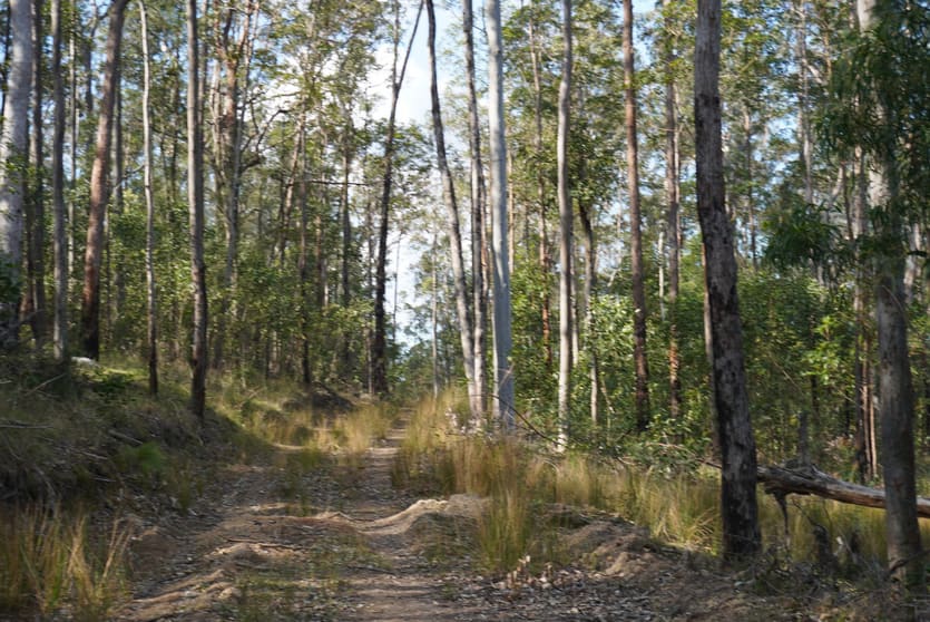 908 Bulldog Road Bulldog NSW 2469 - Image 2