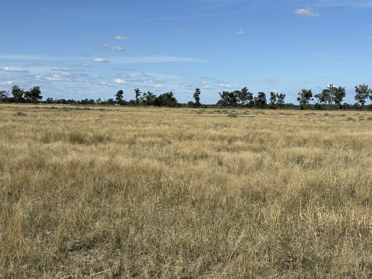 Click to view all images 31850 Cunningham Hwy Goondiwindi QLD 4390 - Image 3
