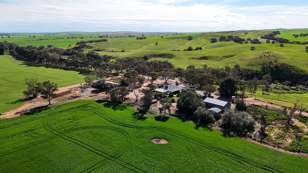 Click to view all images 'Riverleigh' 110 Pedler Road Yacka SA 5470 - Image 2
