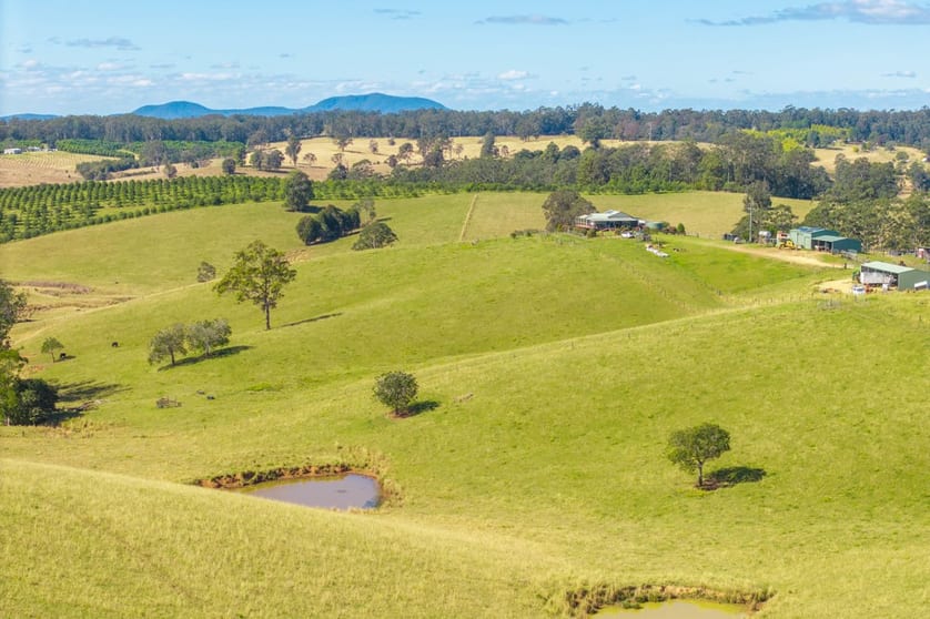 659 South Bank Road Tamban NSW 2441 - Image 3
