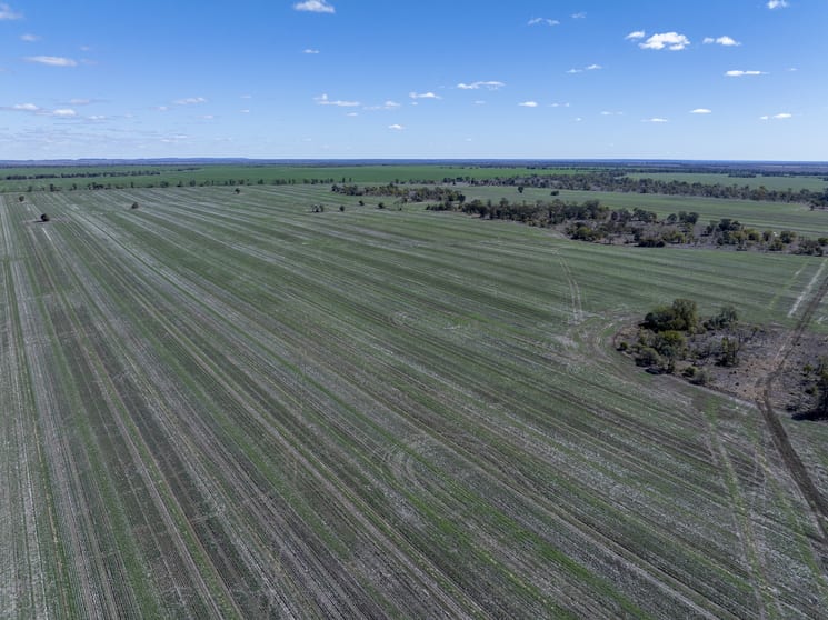 Click to view all images 110 Overstone Road Noorindoo QLD 4417 - Image 3