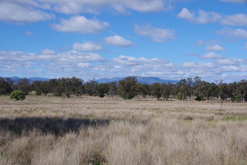 Click to view all images 433 Killarney Gap Road Narrabri NSW 2390 - Image 1