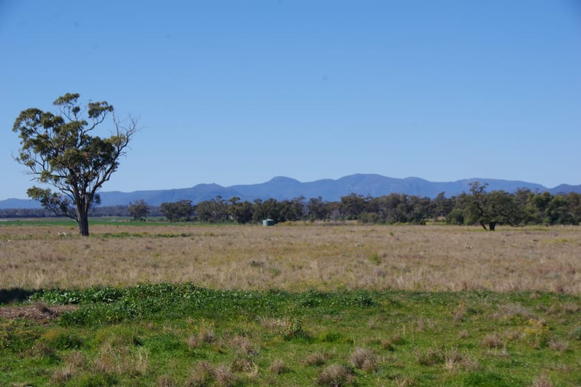Click to view all images 625 Logans Lane Narrabri NSW 2390 - Image 3