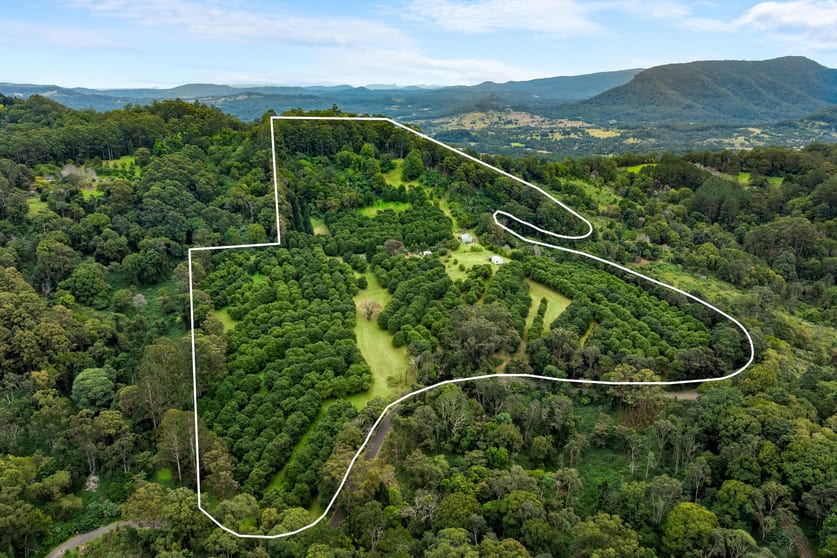 1005 TUNTABLE CREEK ROAD Nimbin NSW 2480 - Image 1