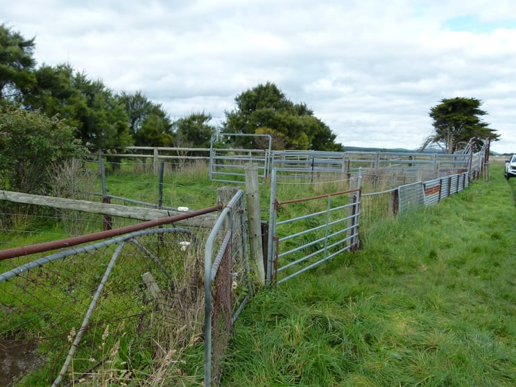 Lot 1/Sec 417 & 429 Furner Road Millicent SA 5280 - Image 2
