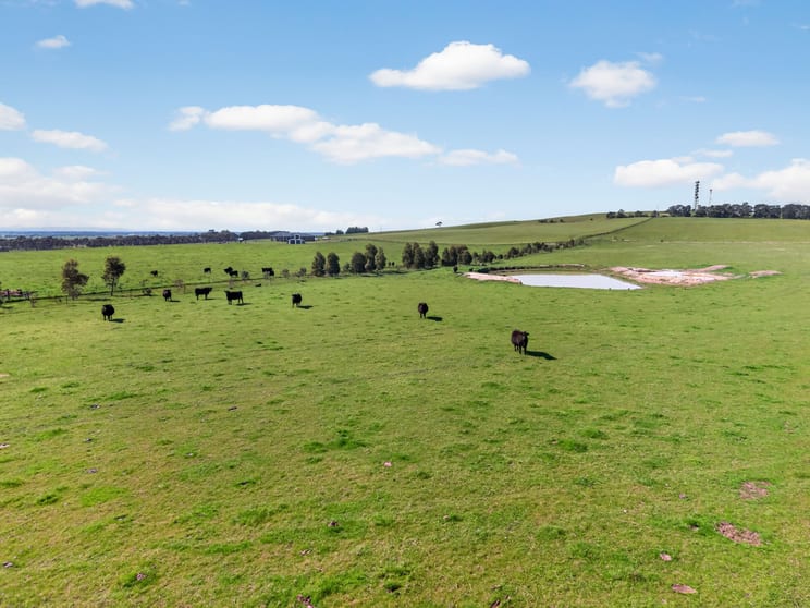 185 Denison Road Denison VIC 3858 - Image 3