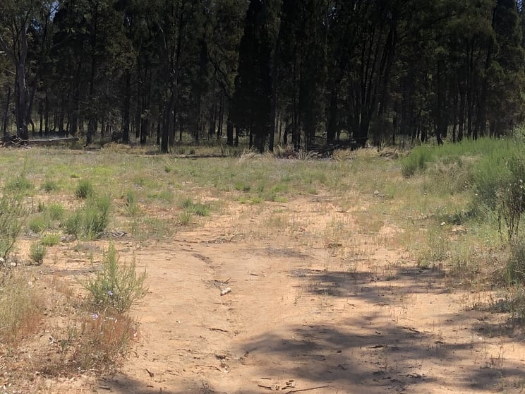 Click to view all images 14355 Oxley Highway Rocky Glen NSW 2357 - Image 2