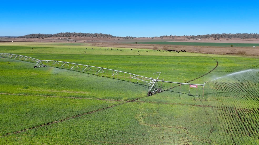 Click to view all images "Mountain Glen" Oakey Pittsworth Road Oakey QLD 4401 - Image 3