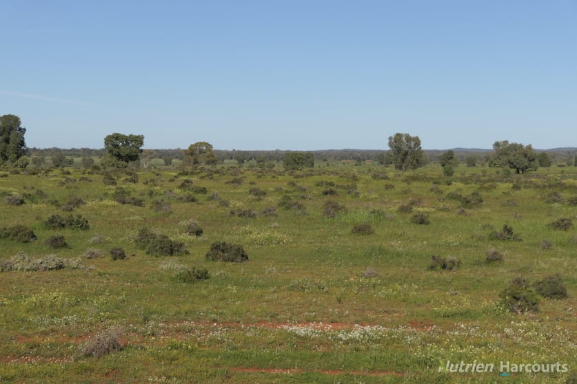 * KALLARA, 881 Kallara Road Hermidale NSW 2831 - Image 2