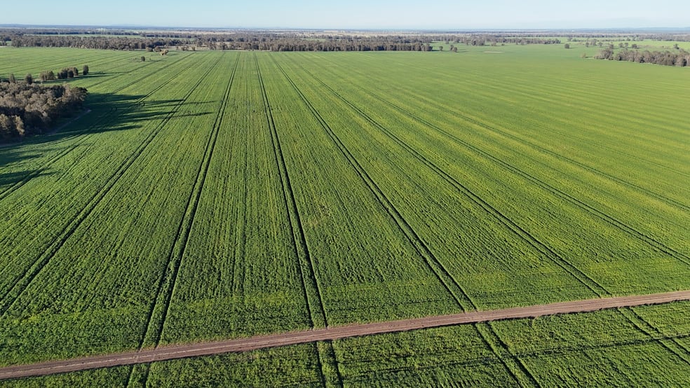 5510 Mid Western Highway Caragabal NSW 2810 - Image 2