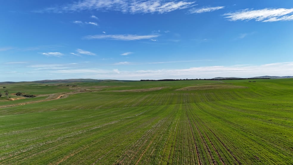 Click to view all images 'Siegerts' Section 3 Goyder Highway Spalding SA 5454 - Image 1