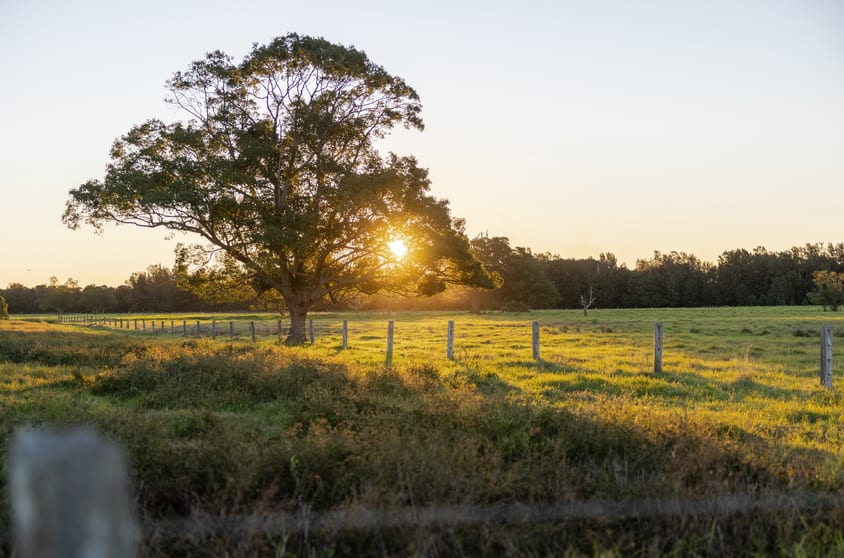 Click to view all images 17301 Pacific Highway Cundletown NSW 2430 - Image 2