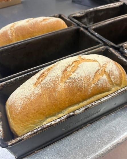 Click to view all images Bakery business for sale in Coogee - Image 3