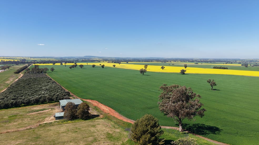 Click to view all images Elambone Homestead, Gerrybang Road Grenfell NSW 2810 - Image 2