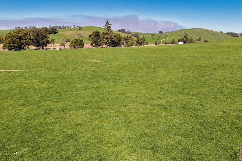 Click to view all images Warrentinna Road Winnaleah TAS 7265 - Image 3