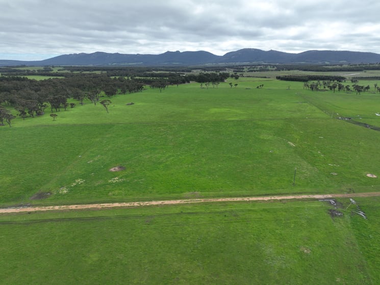 363 Morande Road Narrikup WA 6326 - Image 1