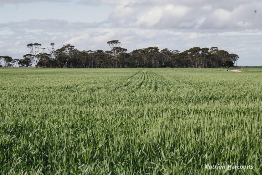 Lot 491 Parmango Road Beaumont WA 6450 - Image 2