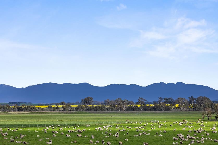 1077 Yarram Gap Road Willaura VIC 3379 - Image 2