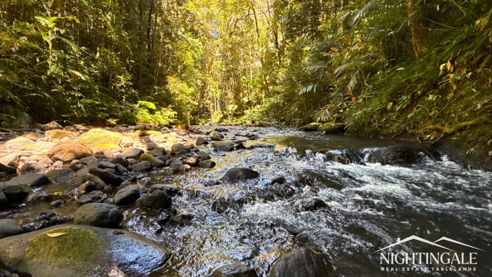 499 Old Cairns Track Butchers Creek QLD 4885 - Image 1