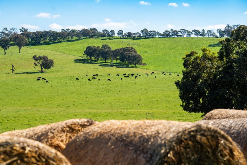 295 Hovell Road Bungowannah NSW 2640 - Image 2