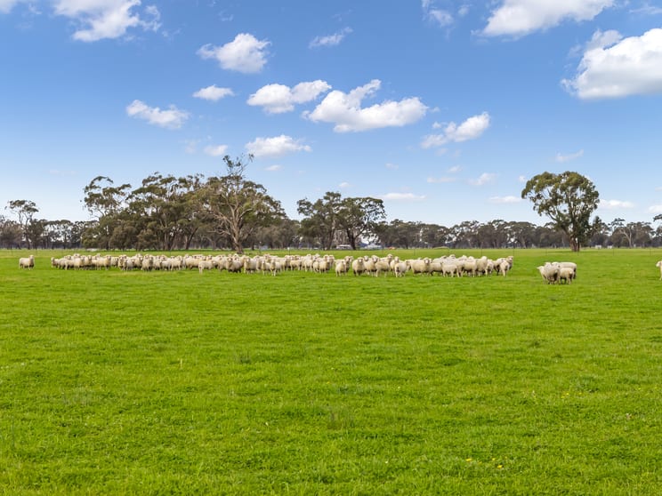 Click to view all images 536 Arcadia Two Chain Road Arcadia South VIC 3631 - Image 3