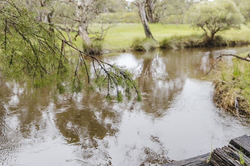 Click to view all images Caraban WA 6041 - Image 3