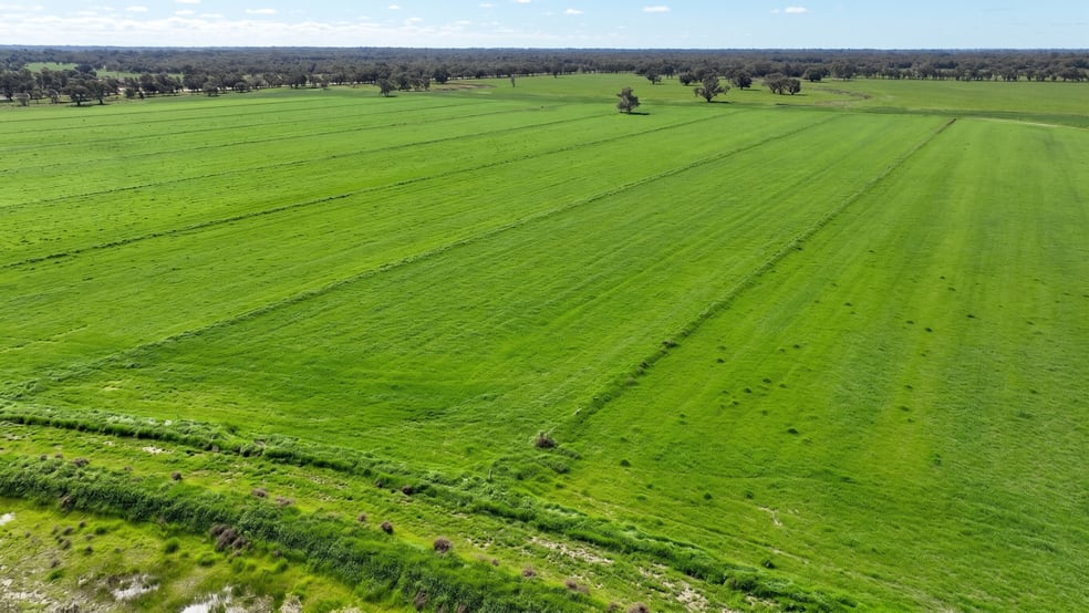 Click to view all images Cobwell Station Sandy Bridge Road Barham NSW 2732 - Image 3