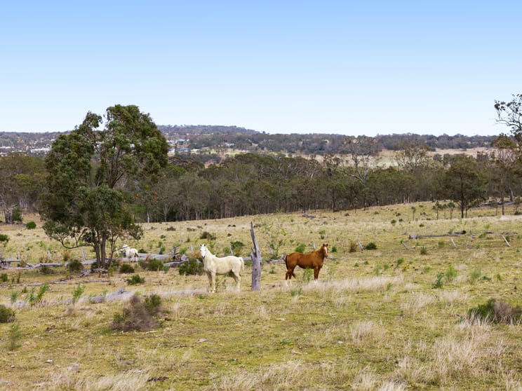 "Cooby Crest" 101 Pipeline Road Meringandan QLD 4352 - Image 3