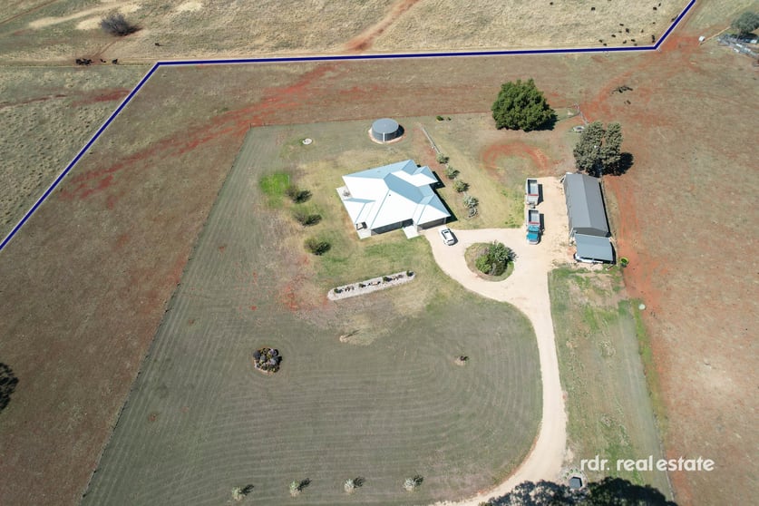377 Copeton Dam Road Inverell NSW 2360 - Image 3